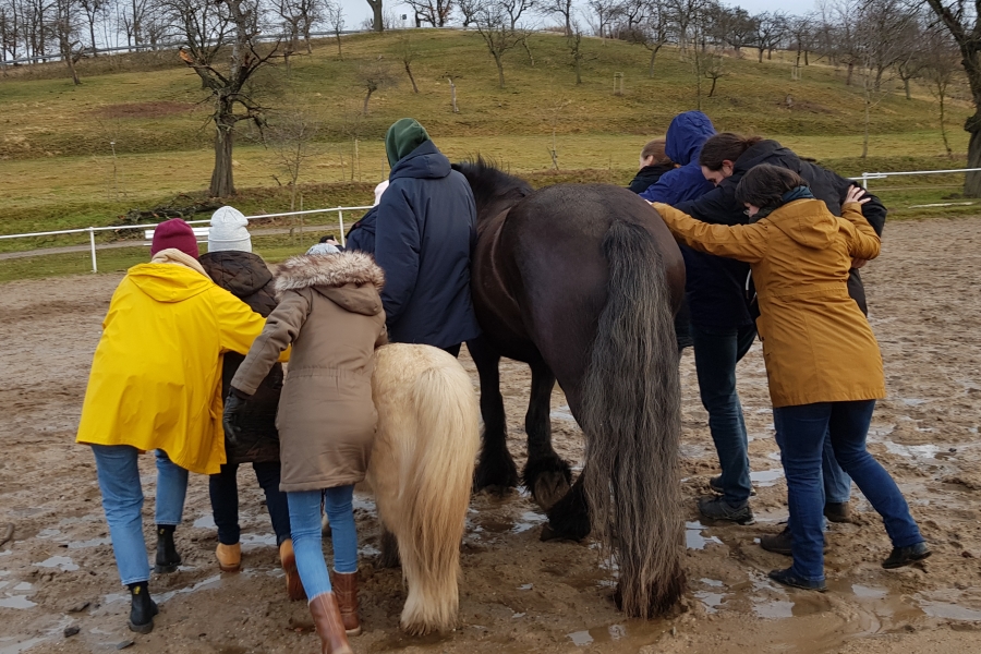 Teamevent Hannah und Benni Pferde Natural Leadership